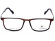 Tortoise Brown with Copper Brown Temples.