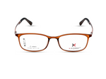 Transparent Brown (Amber Tone)