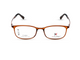 Transparent Brown (Amber Tone)