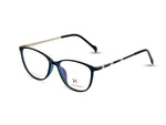 Transparent Blue front frame