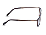 Tortoise Brown with Copper Brown Temples