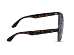 Glossy Tortoise Shell