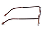 Transparent Brown front frame