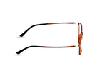 Transparent Amber Brown