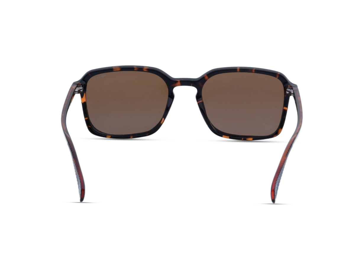 Glossy Tortoiseshell