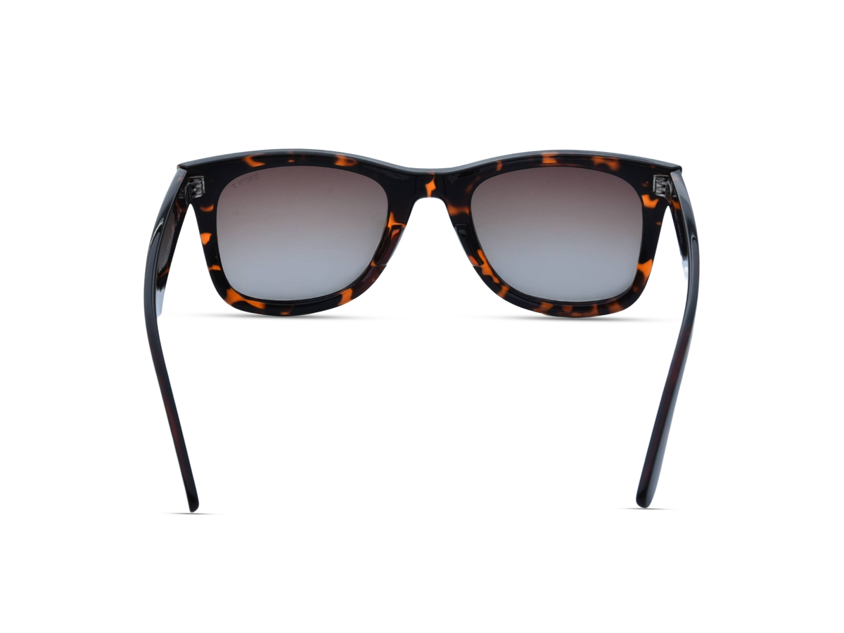 Glossy Tortoiseshell