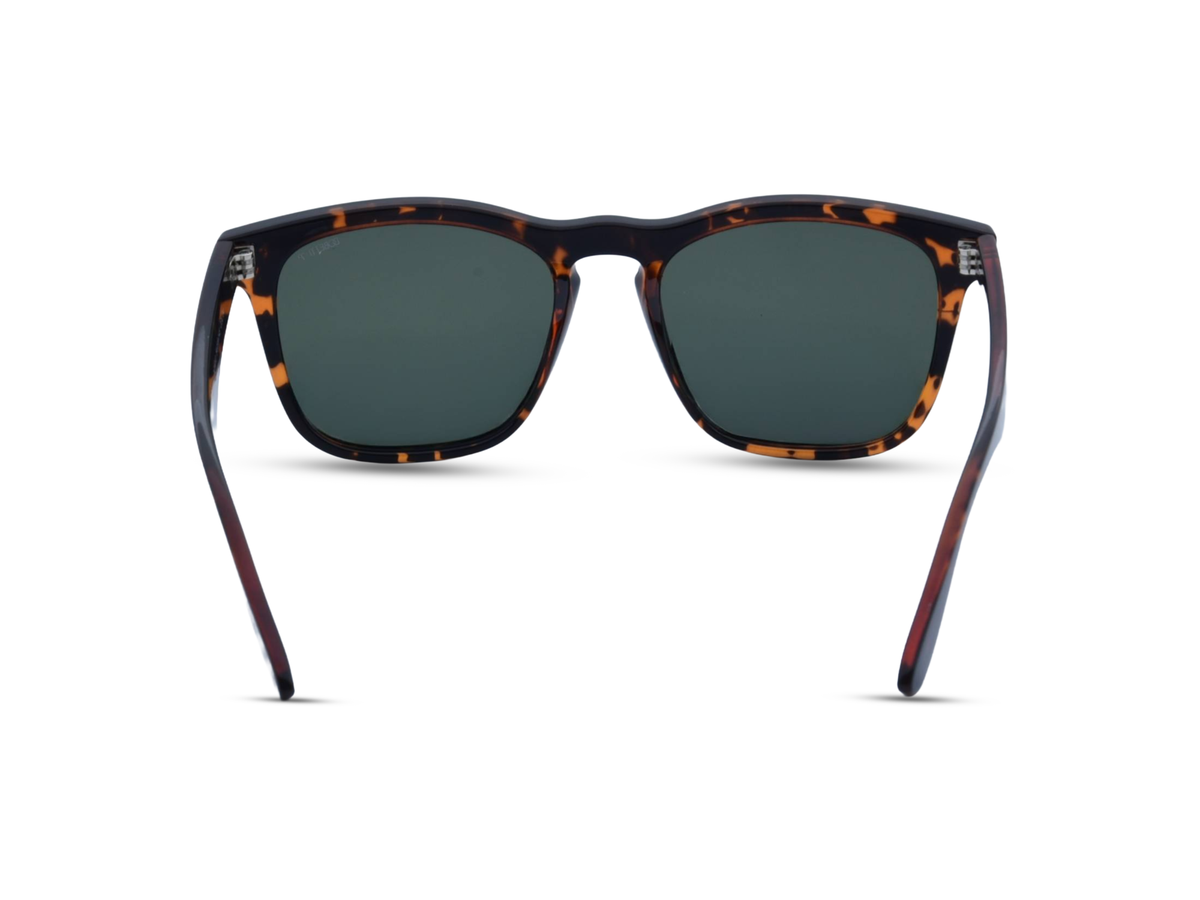 Glossy Tortoise Shell