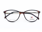 Transparent Brown front frame