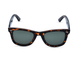 Glossy Tortoiseshell Mottled Pattern