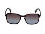 Matte Tortoiseshell