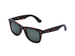 Glossy Tortoiseshell Mottled Pattern