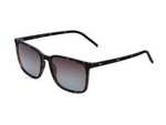 Matte Tortoiseshell