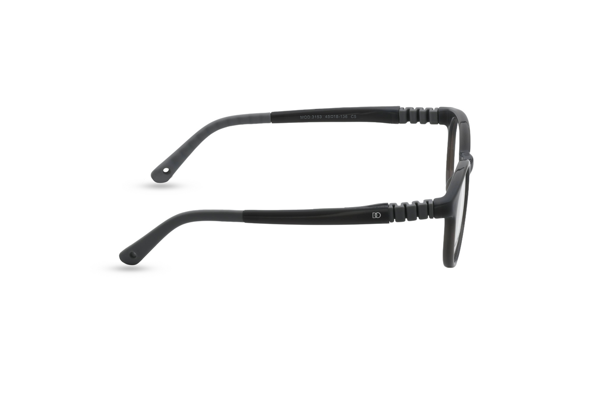 Classic Black with Smoke Grey Temples