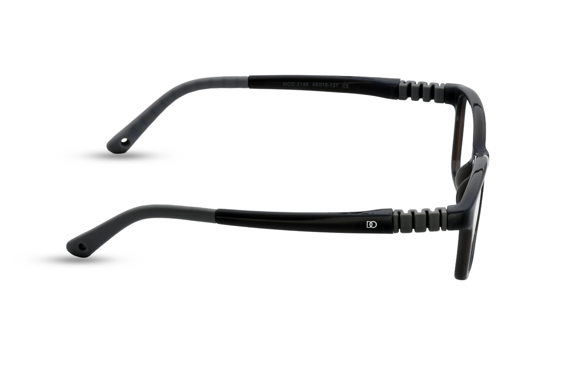 Classic Black with Smoke Grey Temples