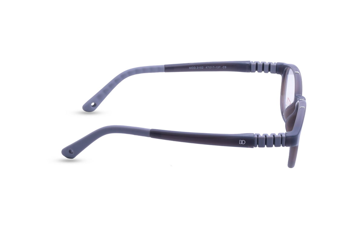 Classic Black with Smoke Grey Temples
