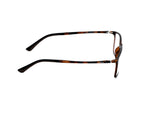 Brown Tortoiseshell