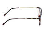 Transparent Brown front frame