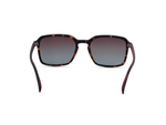 Matte Tortoiseshell
