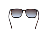 Matte Tortoiseshell