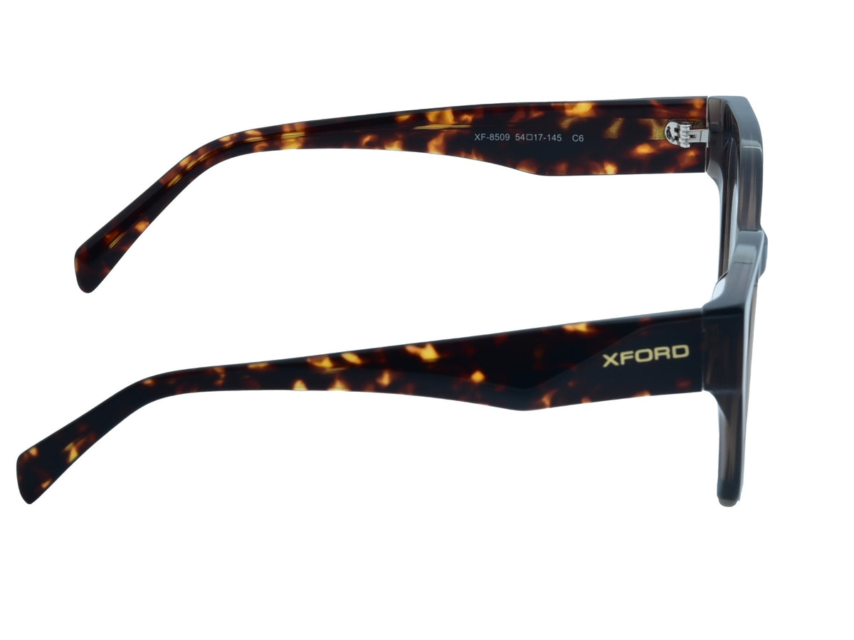 Transparent Grey and Tortoiseshell Combo