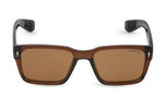 BROWN TRANSPARENT