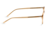 BROWN TRANSPARENT