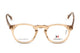 BROWN TRANSPARENT