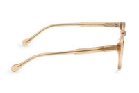 BROWN TRANSPARENT
