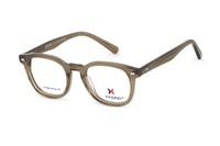 BROWN TRANSPARENT