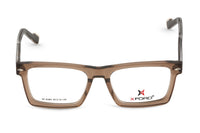 BROWN TRANSPARENT