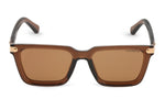 BROWN TRANSPARENT
