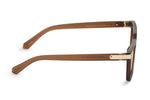 BROWN TRANSPARENT